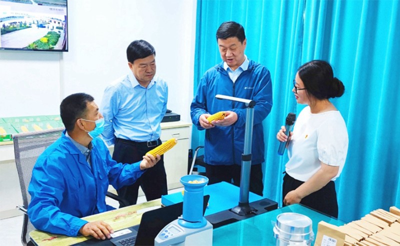 甘肅省地方金融監(jiān)管局、甘肅證監(jiān)局領(lǐng)導(dǎo)蒞臨敦煌種業(yè)調(diào)研指導(dǎo)